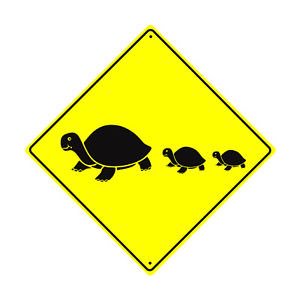 TJParrish28's tweet photo. With a busy week in the rearview, it was nice to take some time to reflect and write. @JoyKirr https://t.co/xde6wht0Br #brake4turtles https://t.co/qI01D1mp63