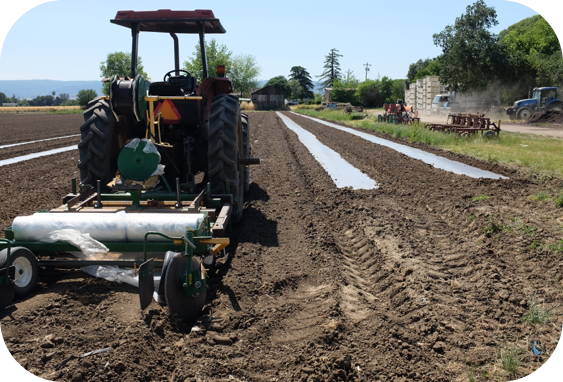 ucanr's tweet photo. Get the dirt on #SoilSolarization & #biosolarization to control weeds & pathogens. Organic farmer Paul Underhill & UCCE specialist Jim Stapleton will demo solarization Tuesday, June 12, 4-6pm Dixon. FREE, please RSVP https://t.co/15sFlajPaJ … https://t.co/phhLrkM9Eq