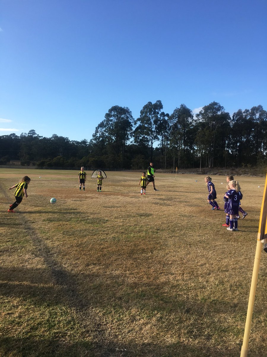 whitey10s's tweet photo. Great start to #silentsaturday at #CessnockCityWomensSoccer
Their little Stingers and @LochinvarFC 6/7yrs Girls loved the game! So much football, fun and friendship on show.
#hvfa #communityfootball #femalefootball #aldiminiroos #newcastlepermanent @NNSWF https://t.co/0Ithg09WEn