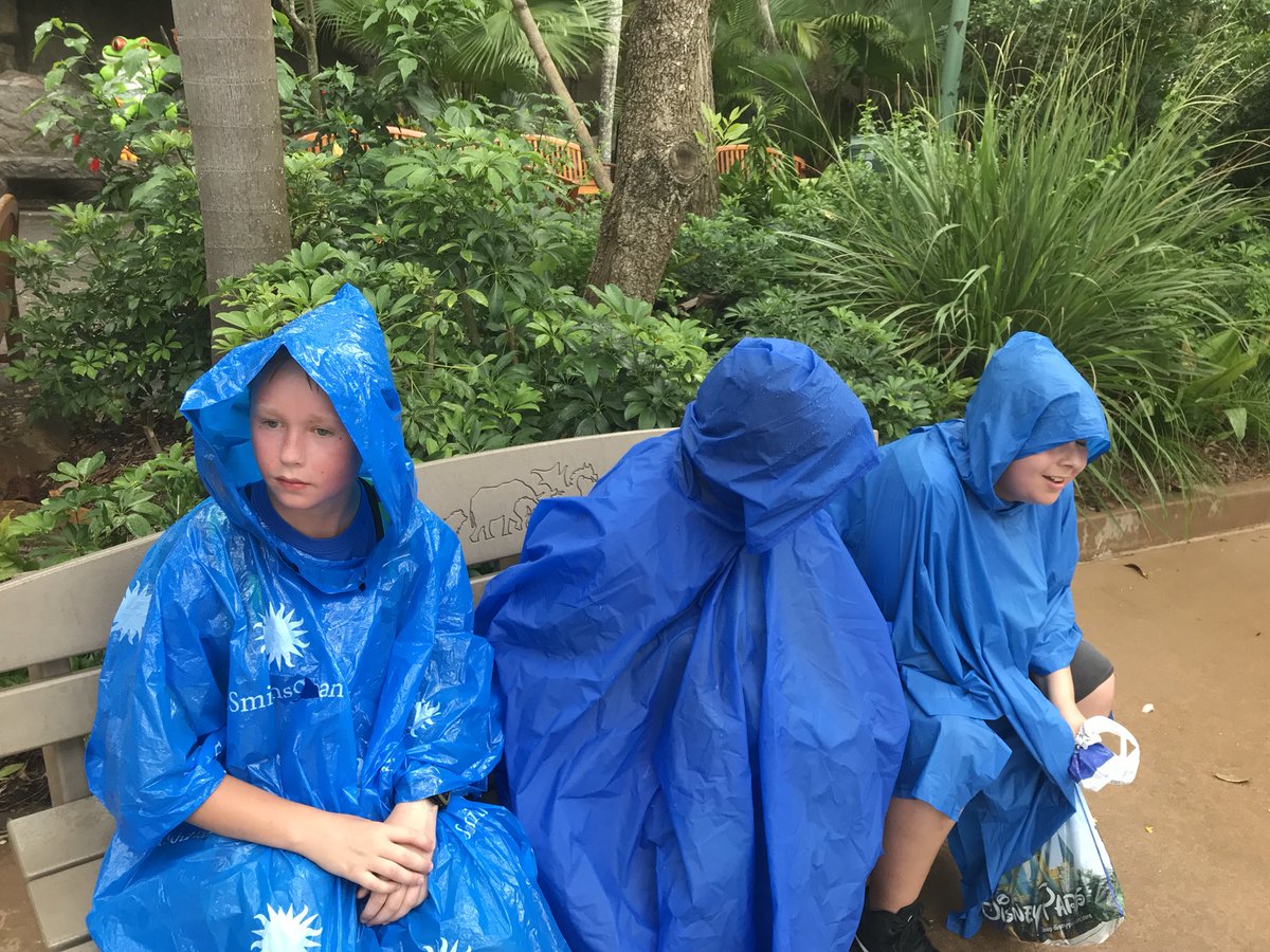 rjlucas28's tweet photo. So much fun on the 5th grade trip to Animal Kingdom!  @cypresscreekvcs @KymWhitehurst #NoRainCanStopDisneyFun https://t.co/BNcZVCtigu