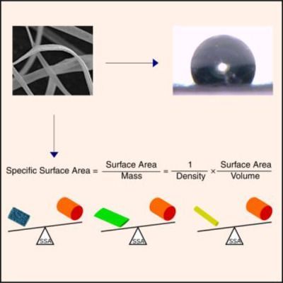 compton scattering investigating the structure of the nucleon with real