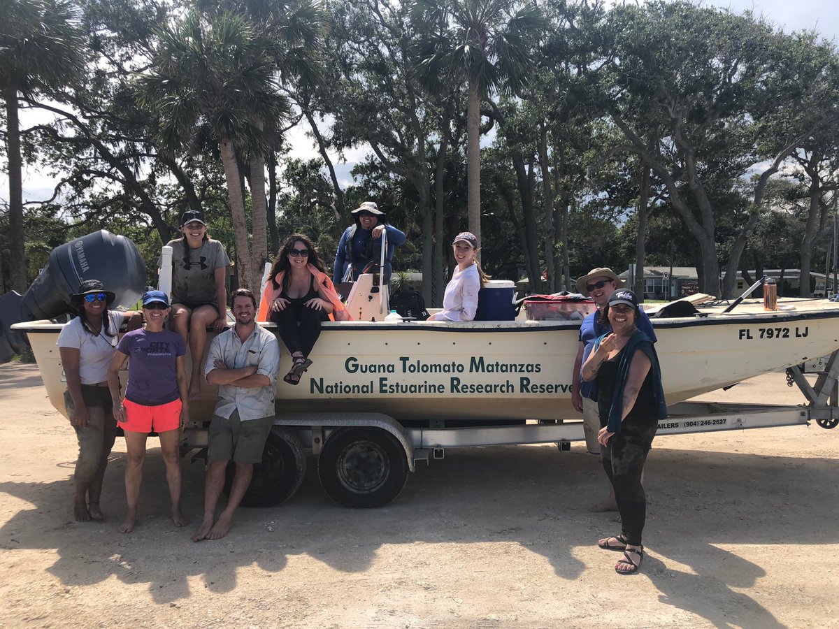 Deploying #WetFeetproject warming chambers this week with @ecosystememily @CharlesAHyde @Ember_Morrissey @GTMReserve @NSF_BIO #Postcardsfromthefield #nsffunded #mangrovesmarching