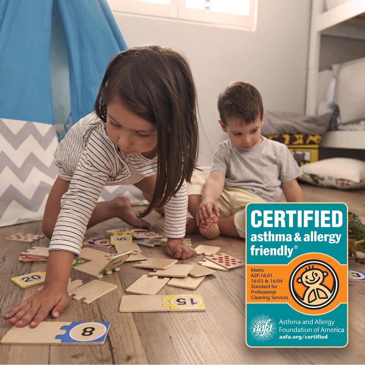 stanley steemer allergy cleaning