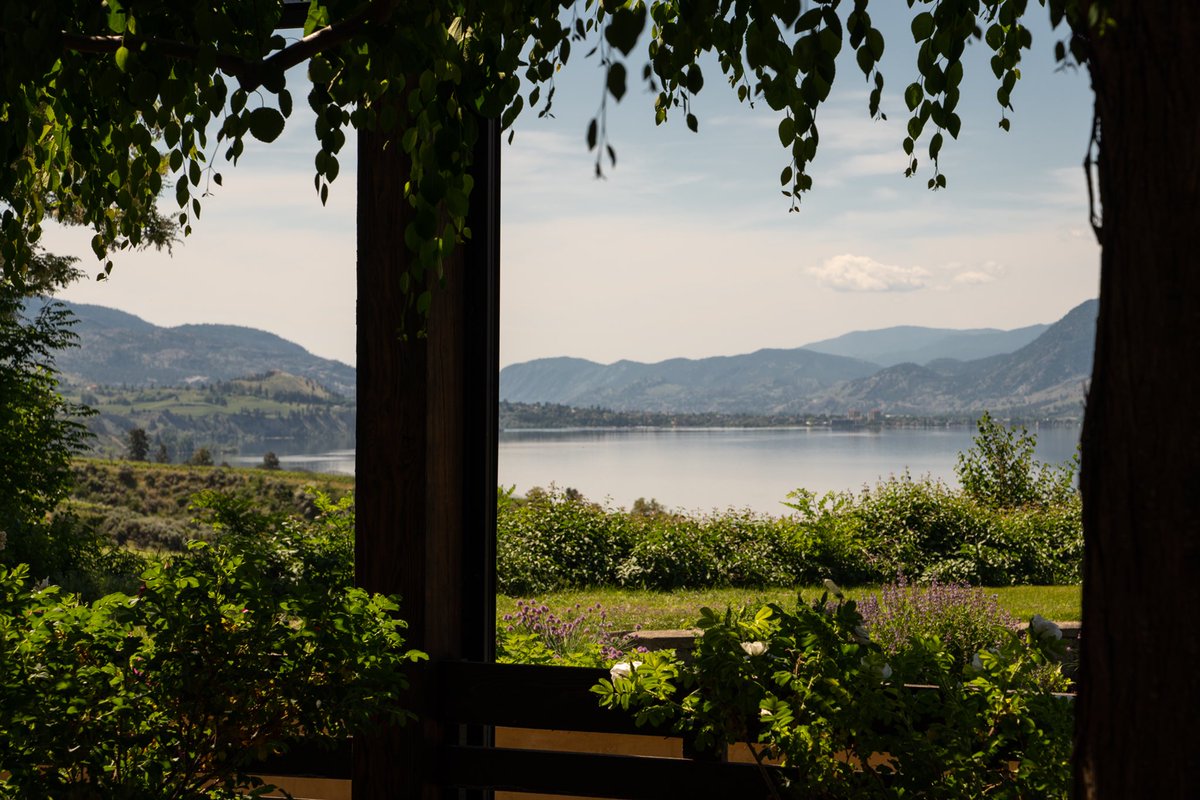 Once upon a time at Lake Breeze. #thelakebreeze #explorebc