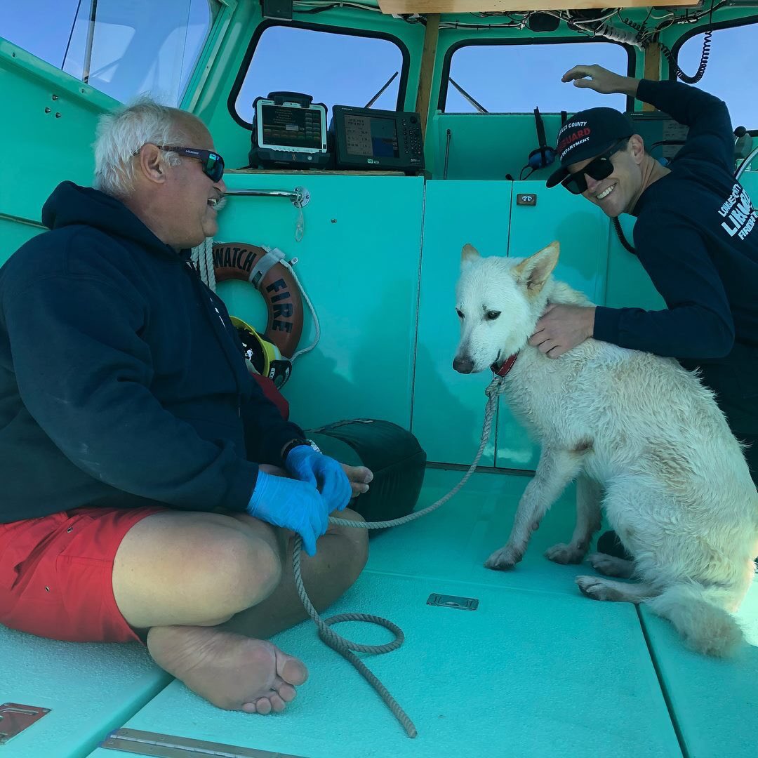 LACoLifeguards's tweet photo. #ChannelIC Baywatch Cabrillo arriving on scene to today’s boat fire. The three persons on board and one dog were safely rescued by a good samaritan vessel before being transferred over to @LACoLifeguards for care. https://t.co/AFsXbUdHku
