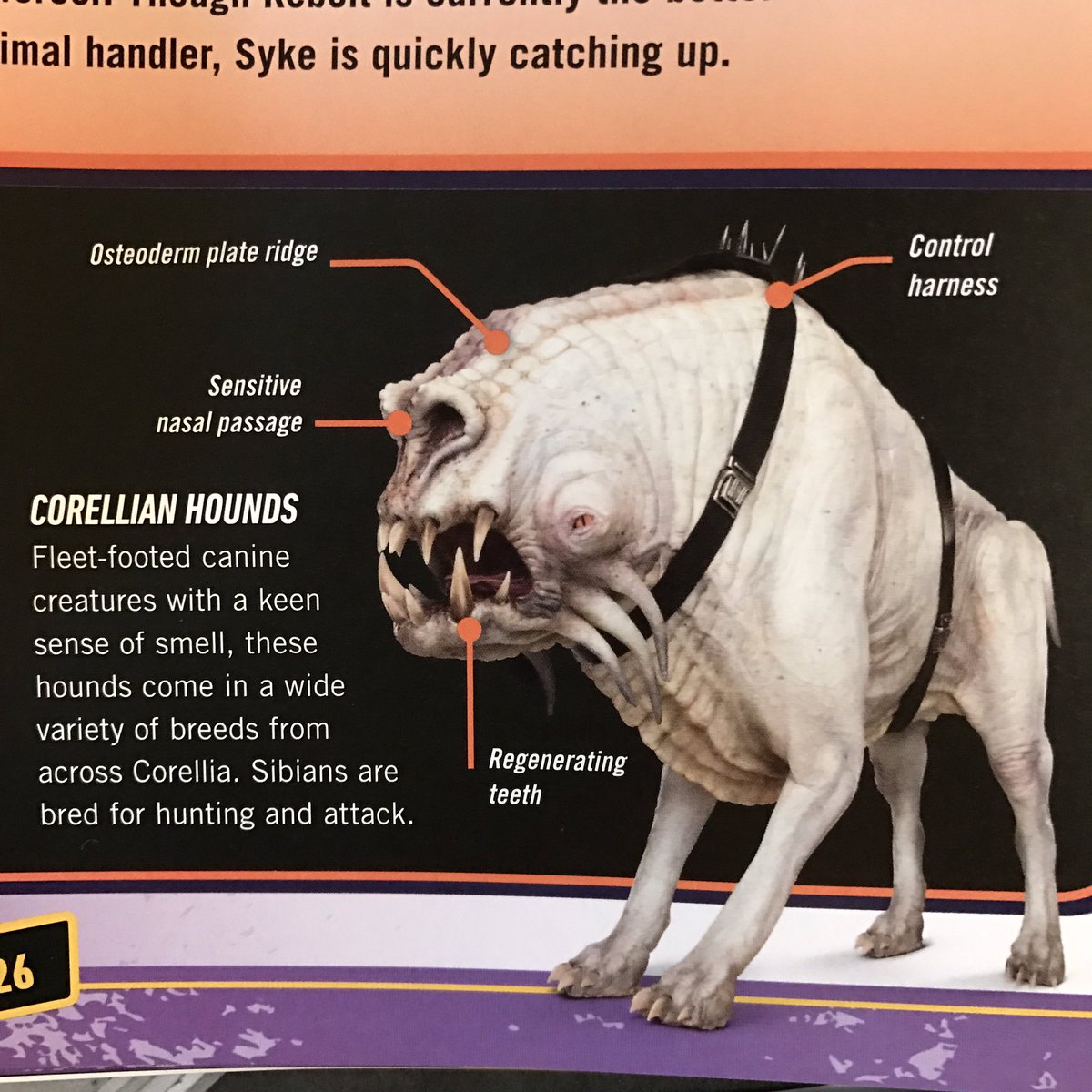 lageose's tweet photo. @leeunkrich – Perhaps a distant relative of the Corellian Hound from #SoloAStarWarsStory https://t.co/dLIzQ5YNvy