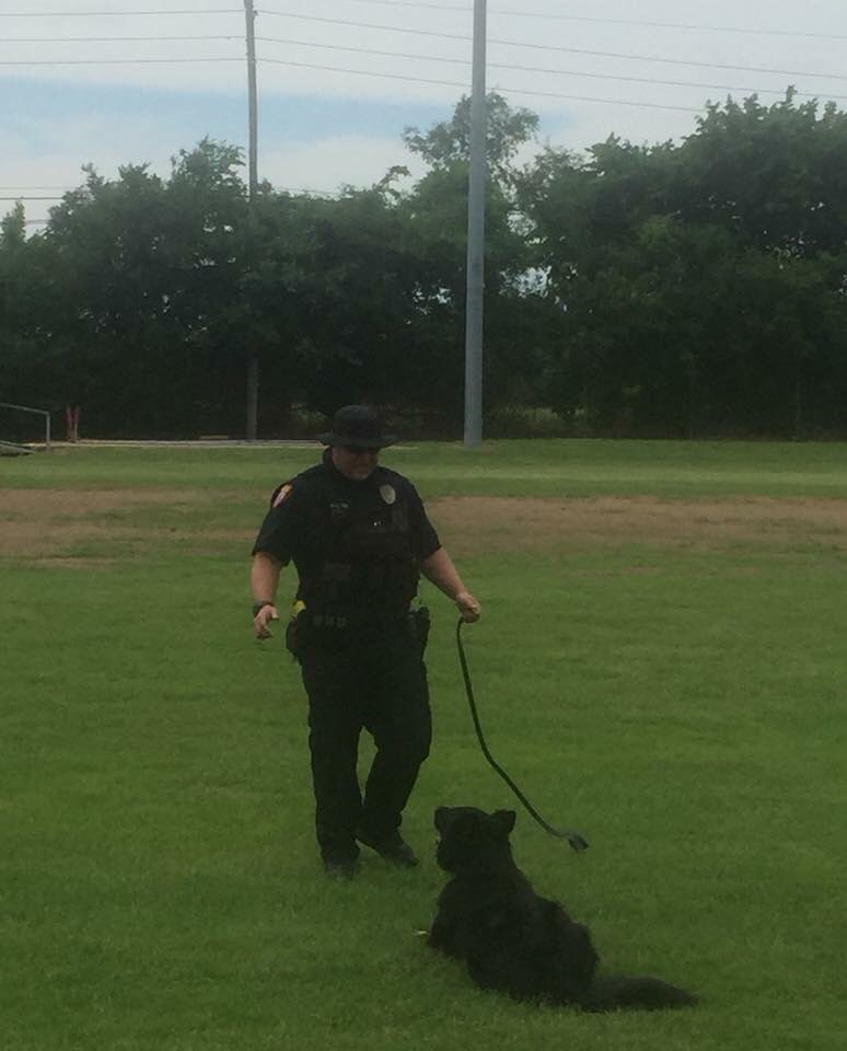 OwassoIndianEd's tweet image. Owasso Police Officer Clutter conducts a K9 Police Dog Demonstration for @Owasso7GC after students read a novel involving search &amp;amp; rescue dogs. #NativeLit