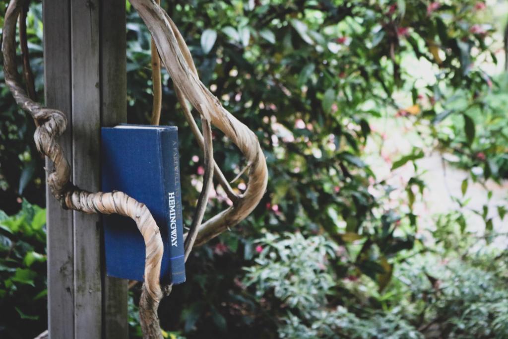 TheQueueTweet's tweet image. As a culture, we're #reading more and watching more. We require more entertainment than ever. We just don't remember it! Now #OntheBlog: Forget What You Read thequeuepress.wordpress.com/2018/05/25/for…