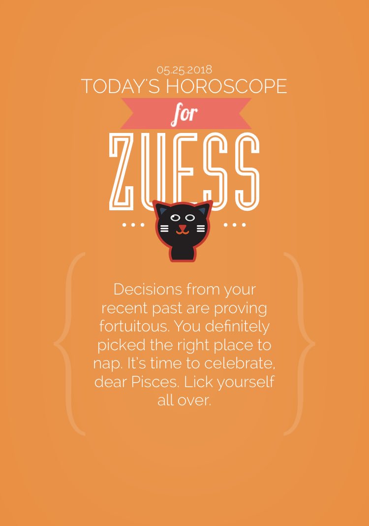 socattastic's tweet photo. Lovin' this! My daily @ZodiaCat horoscope for Zuess. https://t.co/DVTgVQEw5i