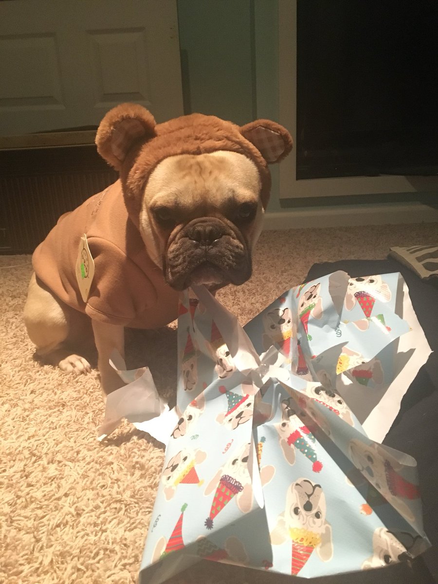 maddyloo1's tweet photo. Happy 1st Birthday to my sweet Jackson!!!They sure do grow up fast 😢 https://t.co/LDtTAsI9lW