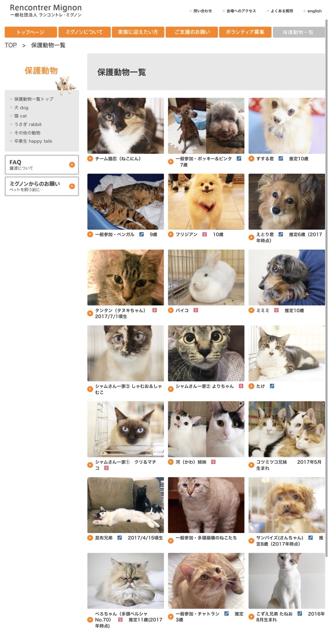 Ryoko Tomomori على تويتر 本日5 26 12 00 16 00 いぬ ねこ うさぎ とり もる譲渡会です 東京都渋谷区千駄ヶ谷4 3 5 北参道 3番出口徒歩1分 T Co Kwkhdxrewe Ryoko Tomomori على تويتر 本日5 26 12 00 16 00 いぬ ねこ うさぎ とり もる譲渡会です 東京都渋谷区千駄ヶ谷4 3 5 北参道 3番出口徒歩1分 T Co Kwkhdxrewe