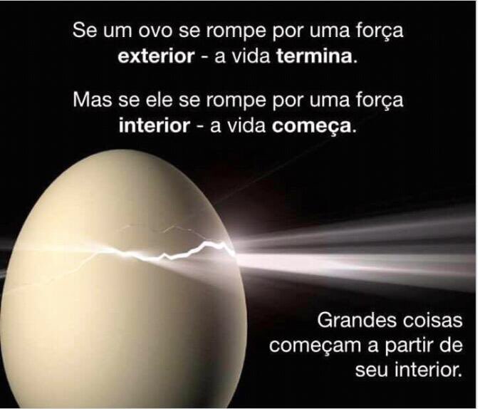 Marco Tim Beta (@marcodaferj) on Twitter photo 