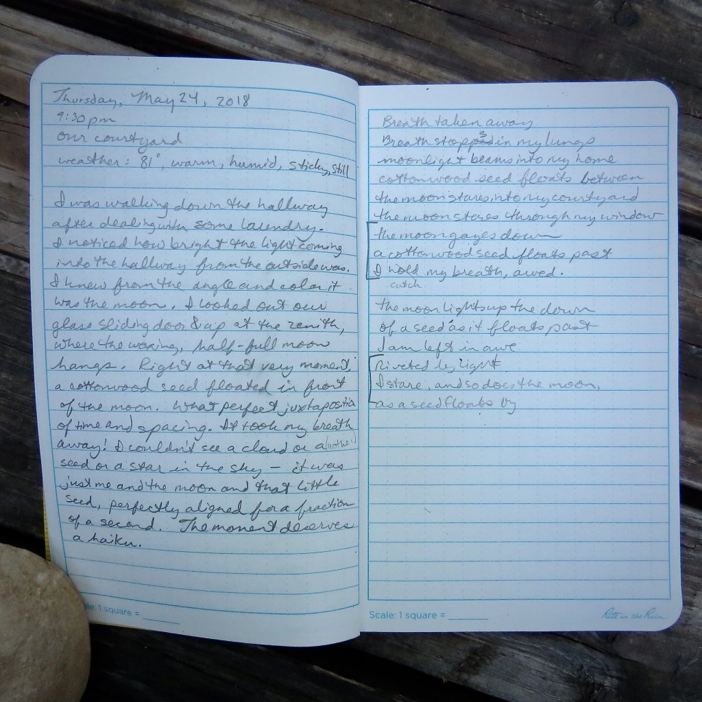 HappyNaturalist's tweet photo. Field Notes Friday: The Moon, From Inside https://t.co/7SLs4li7oc https://t.co/US0IoqpAWA