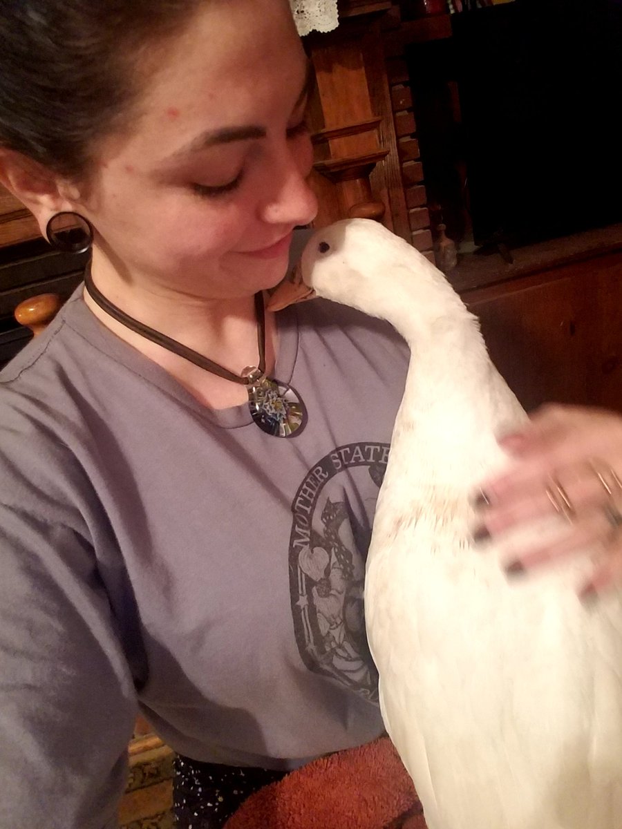 thisfeckingirl's tweet photo. This cat smells weird. https://t.co/5CxQdPgZpY