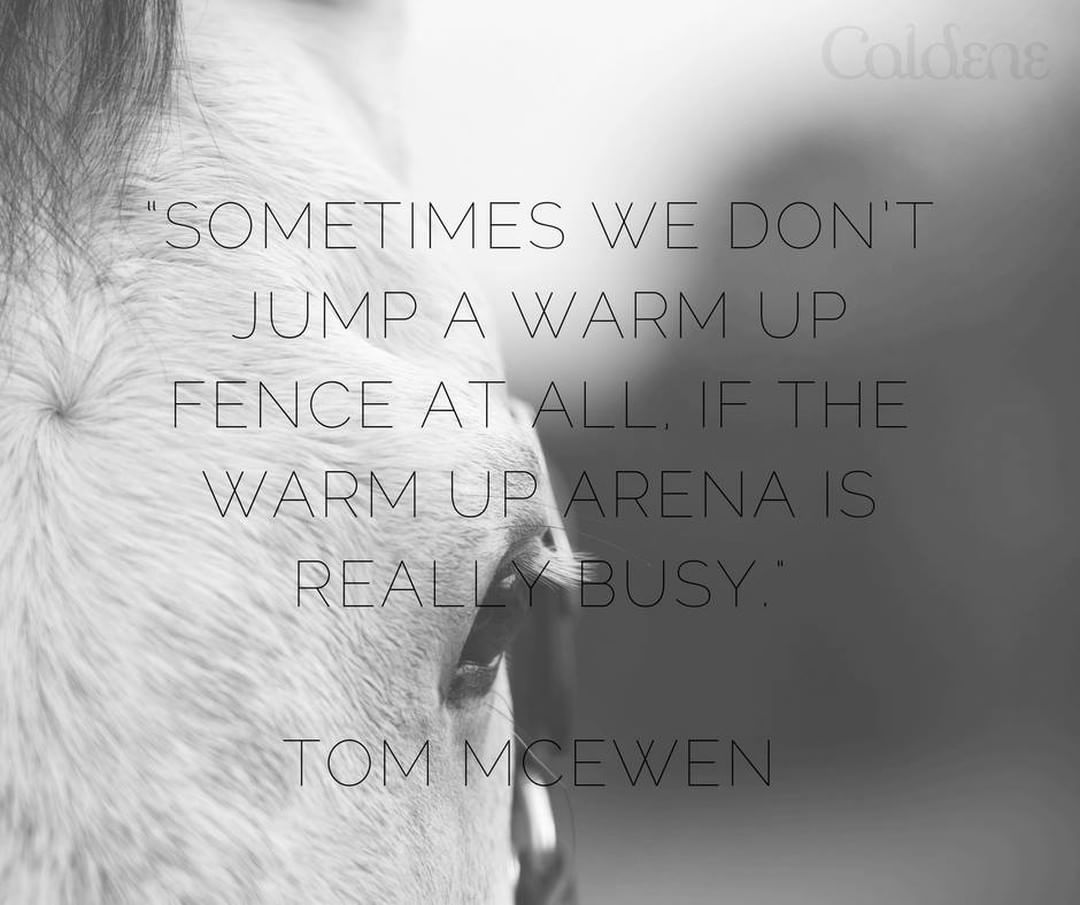 Brilliance often comes with quirks - Tom McEwen's top horse, Toledo de Kerser just jumped three... dlvr.it/QV7gB5