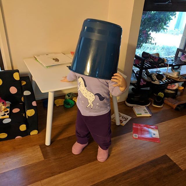 AlpineViper's tweet photo. We have a smart child. https://t.co/YNjaEdD0i6 https://t.co/VGAbzsixus