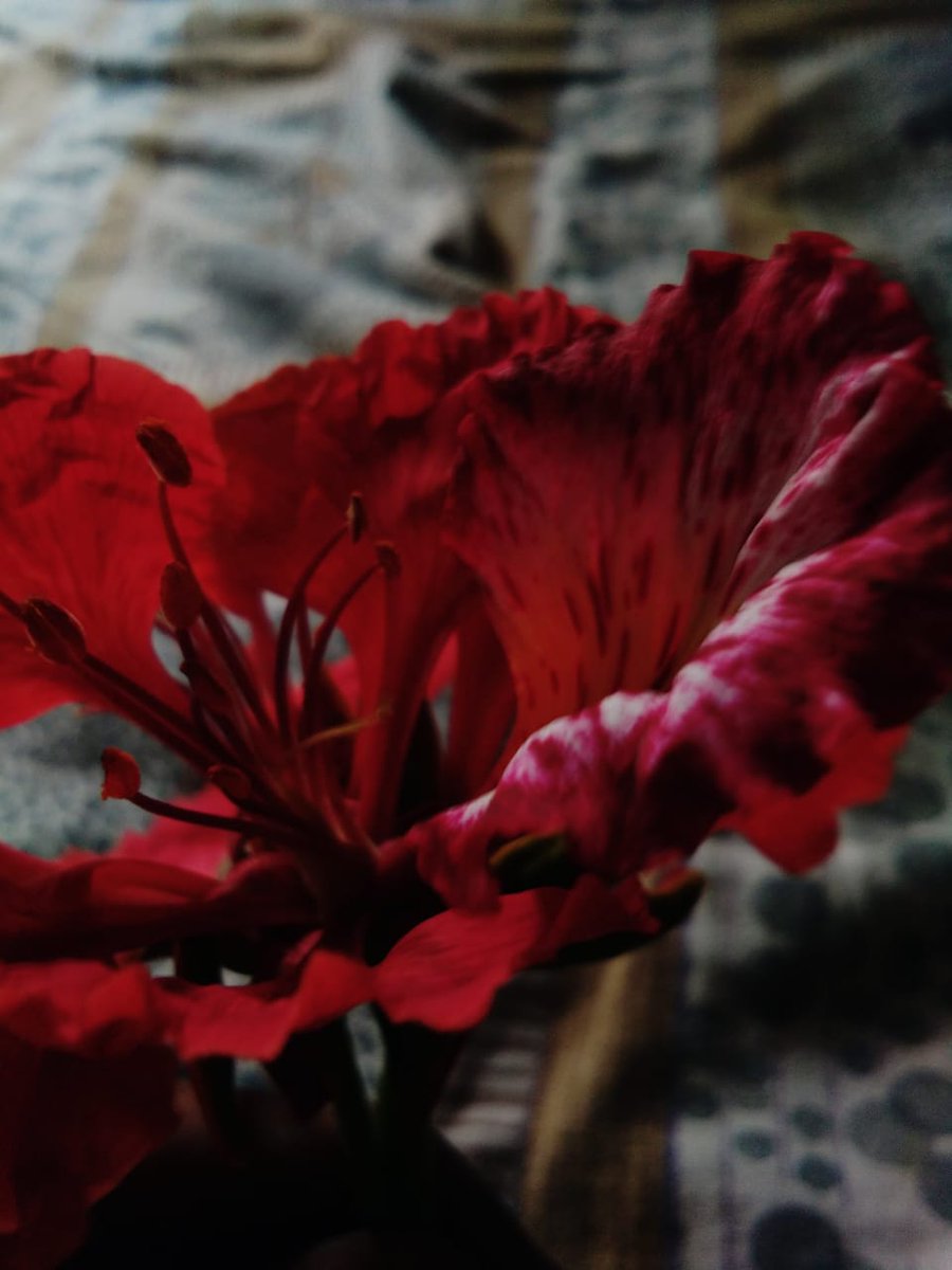 Wordtype2's tweet image. In my home😘😘😘😘