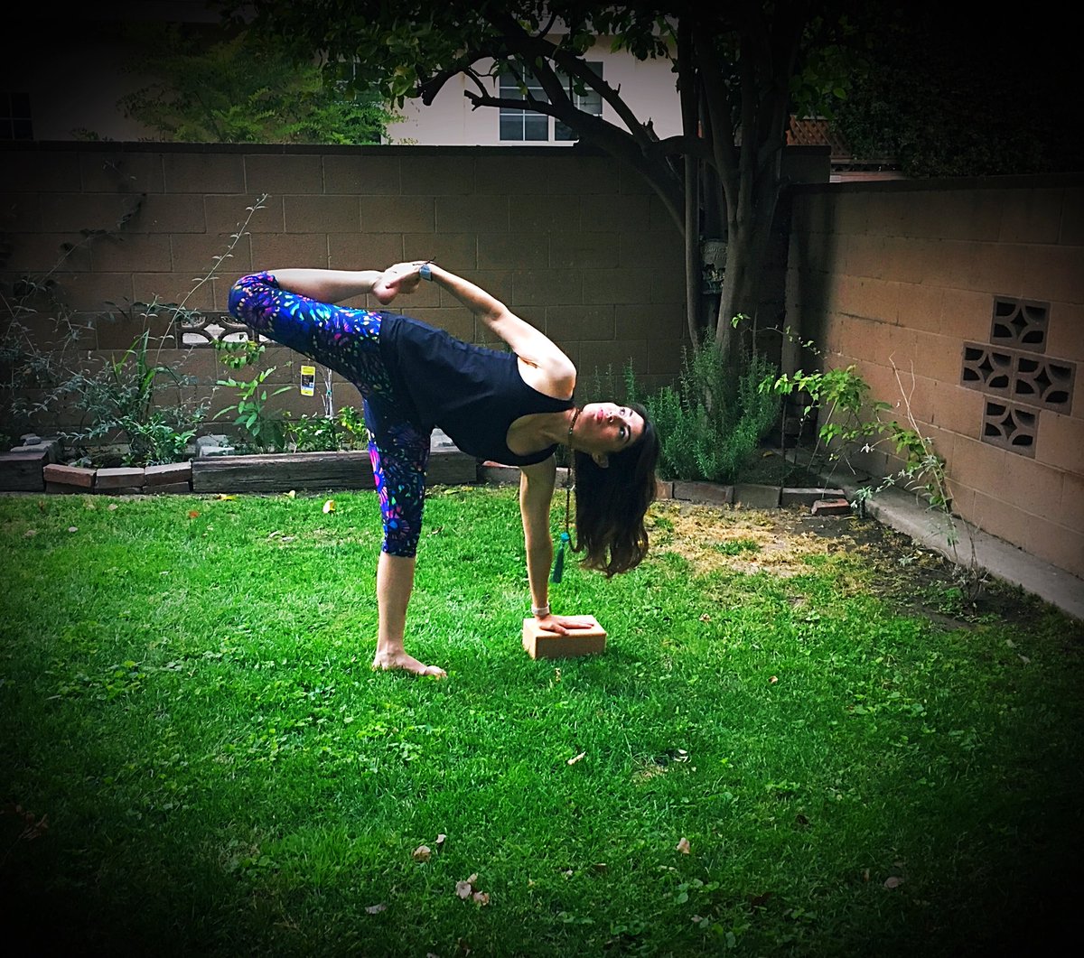 Dennisse M tweet media