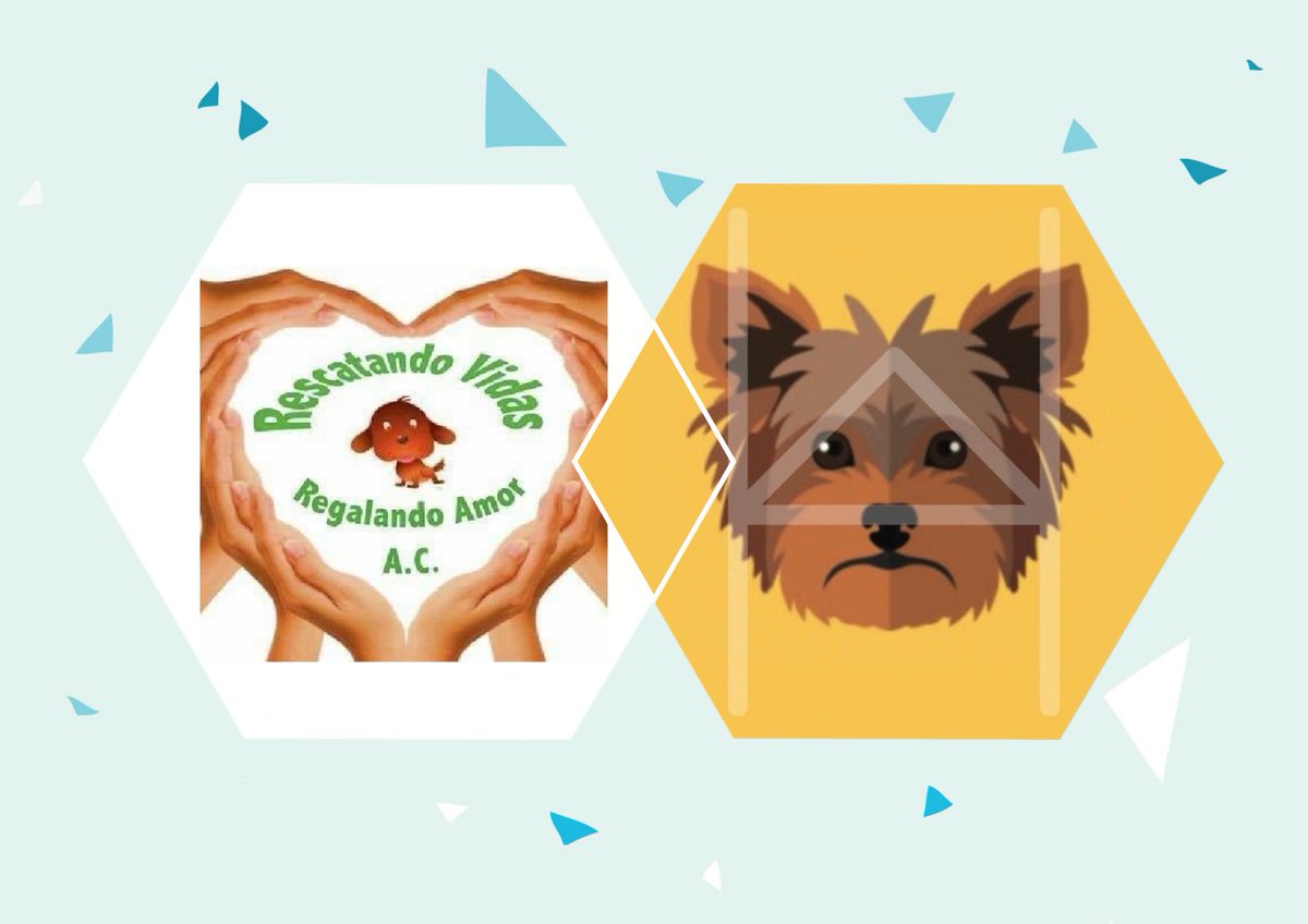 #Hero en conjunto con <a href="/rescatovidas/">Rescatando vidas, regalando amor, A.C.</a> luchamos a mejorar la vida de nuestros mejores amigos... ¡Los Perros! #CompraConCausa #BeAHero jointhehero.com