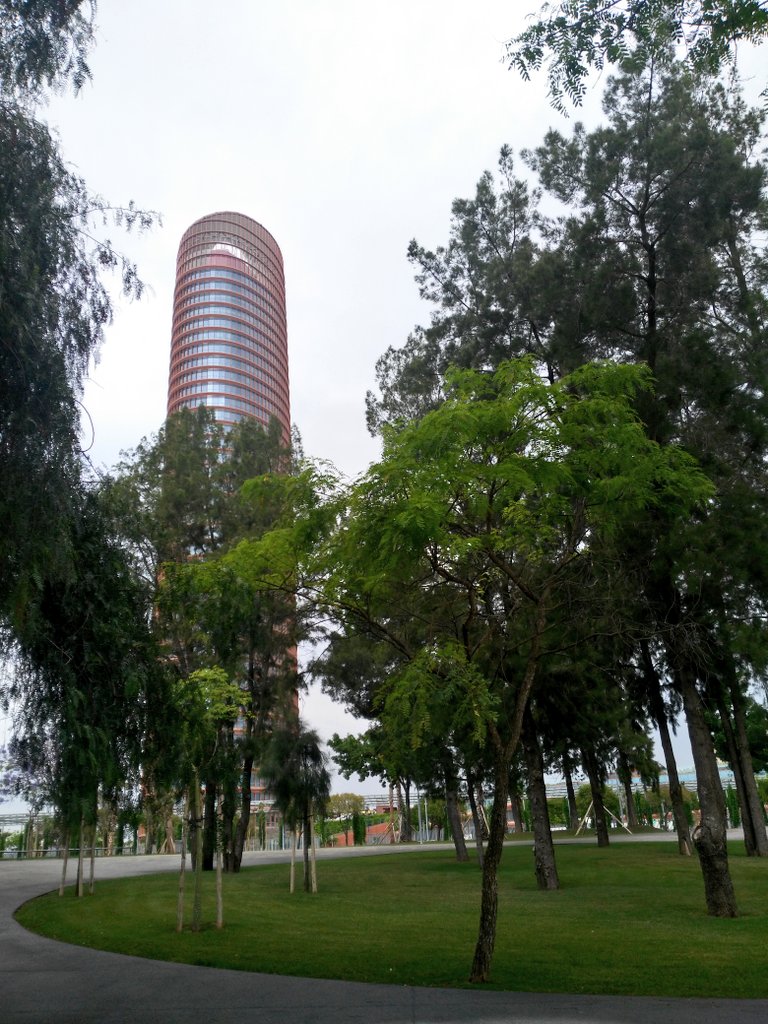 Después de varios años por fin es accesible el nuevo Parque Magallanes junto a la Torre Sevilla 👍🌲🌳🌴🐈