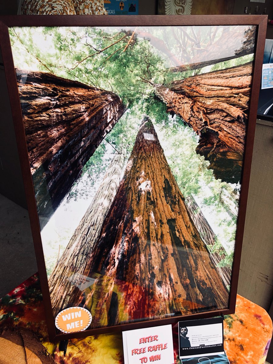 RFFI_ORG's tweet photo. TAKE ME HOME! FREE. Register to win @ Redwood Forest Foundation booth @Calrootsfest in Monterey to win this 20-30" custom framed redwood photograph by pro photographer @JBecker714 https://t.co/BwLcadYhuG