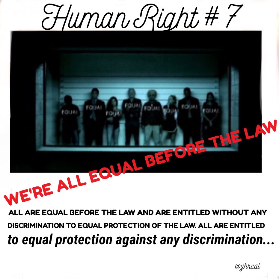 solidaritet ret udsende YHR California on Twitter: "Human Right # 7: We're All #Equal Before the #Law  All are equal before the law and are entitled without any #discrimination  to equal #protection of the law. #