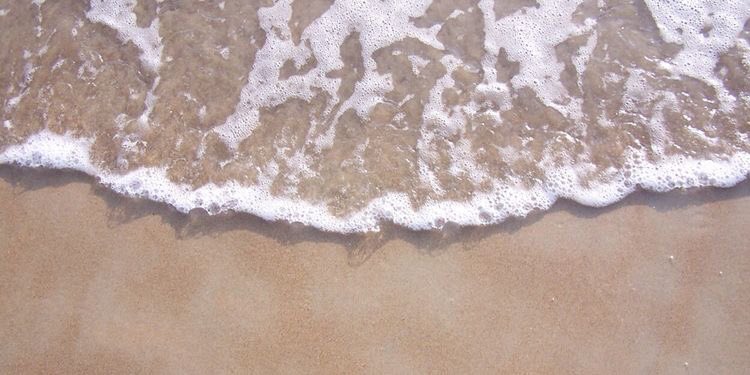 Summer Beach Twitter Backgrounds