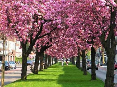 Good night and good morning dear friends👋👋👋🤗🤗🤗