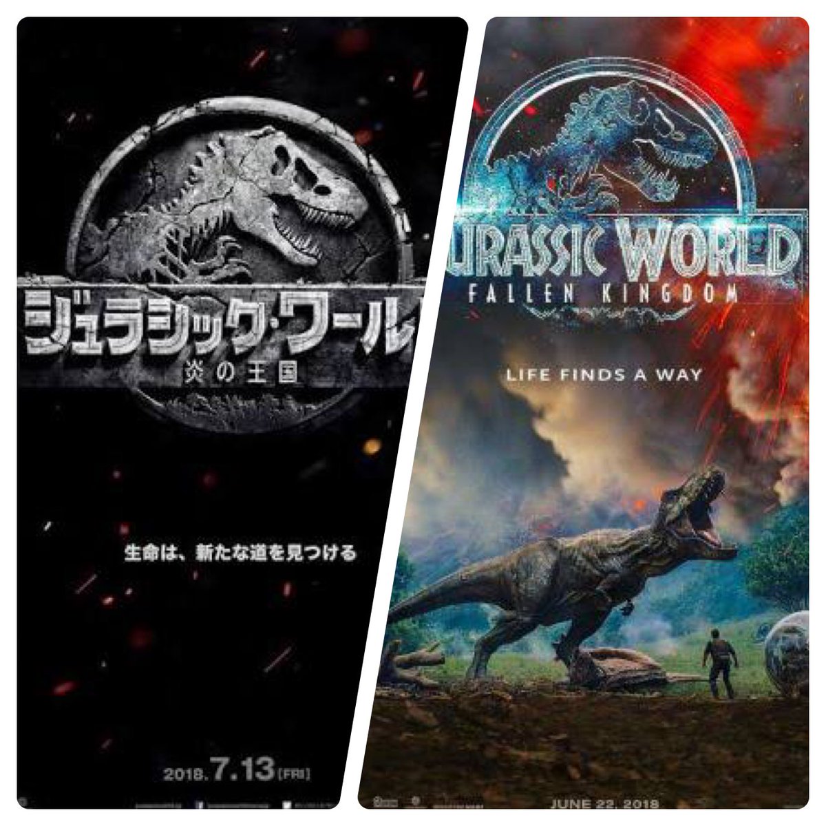 公開予定映画 公開予定映画