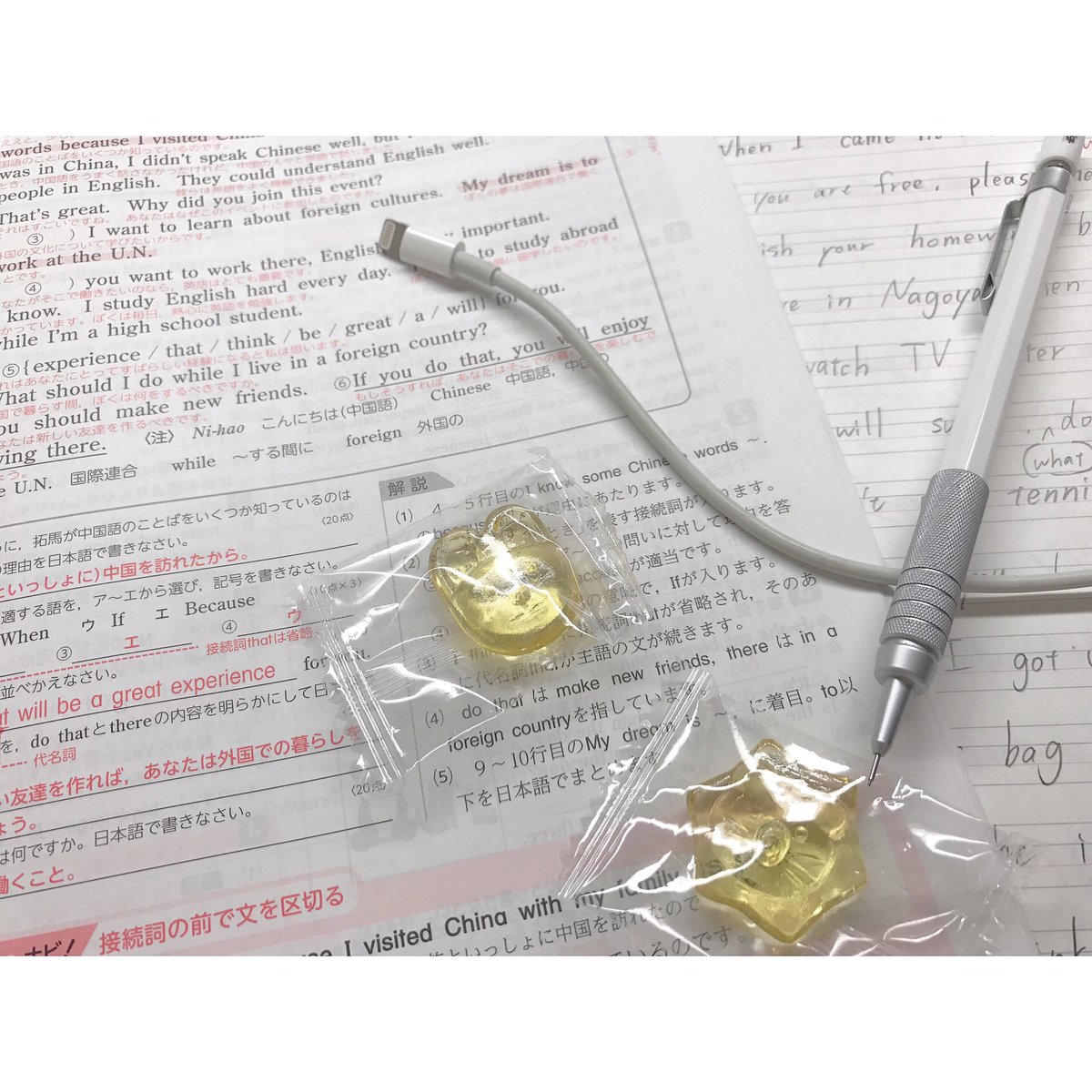 study_mikia's tweet photo. 仲良くしてくれる人いませんか( ◜ᴗ◝) 

#勉強垢さんと繋がりたい 
#勉強垢さんでRTしたひと全員フォロー 
#勉強垢さんフォロバします 
#勉強垢さんと一緒に頑張りたい 
#勉強一緒に頑張ってくれる方RT
 #いいねしてくれた人全員フォローする https://t.co/Z8bu0k45eS