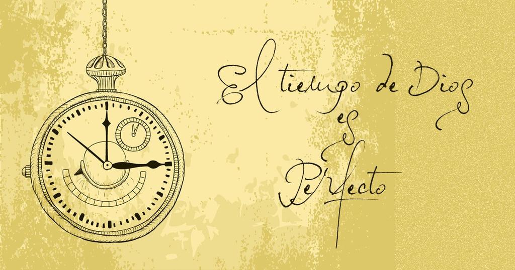 ๐๐ถ๐ช๐น๐ธ๐ต๐ช ๐โจ๏ธ๐ฆ๐ท tweet media