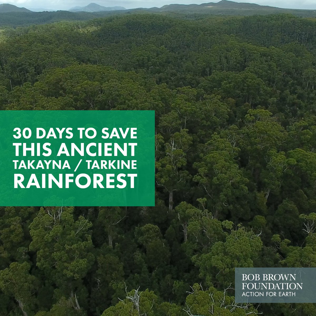 BobBrownFndn's tweet photo. Our Tarkine forest camp has held off the bulldozers &amp; chainsaws for over 100 days now. If we can hold the line until 1st July, these Word Heritage value rainforests are safe for another year.  Help us stand fast with a tax-deductible donation at https://t.co/flcXoV0V55 https://t.co/uBPE2ruLI8