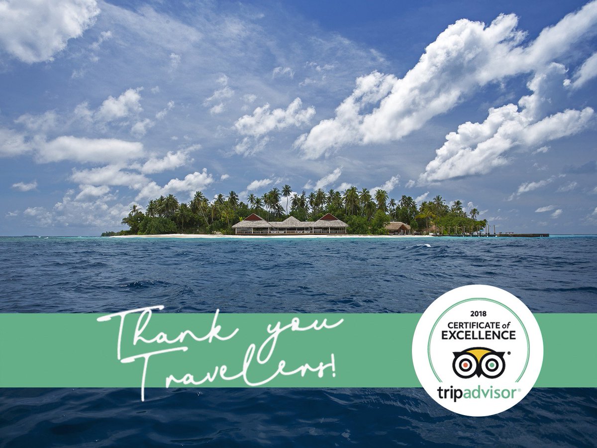 Malahini Kuda Bandos tweet media