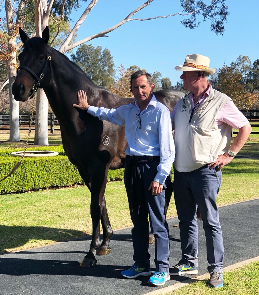 TomMagnier's tweet photo. Glenvale’s Flash Conroy &amp; Paul Shanahan came to the farm today to see Pierro #siresonfire ⚡️ https://t.co/SfIUGHLKOl
