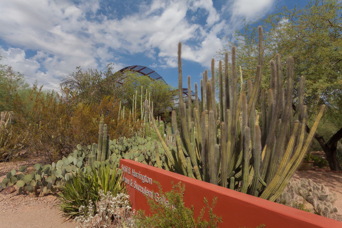 Desert Botanical Garden on Twitter: "Happy #NationalTrailsDay! We have