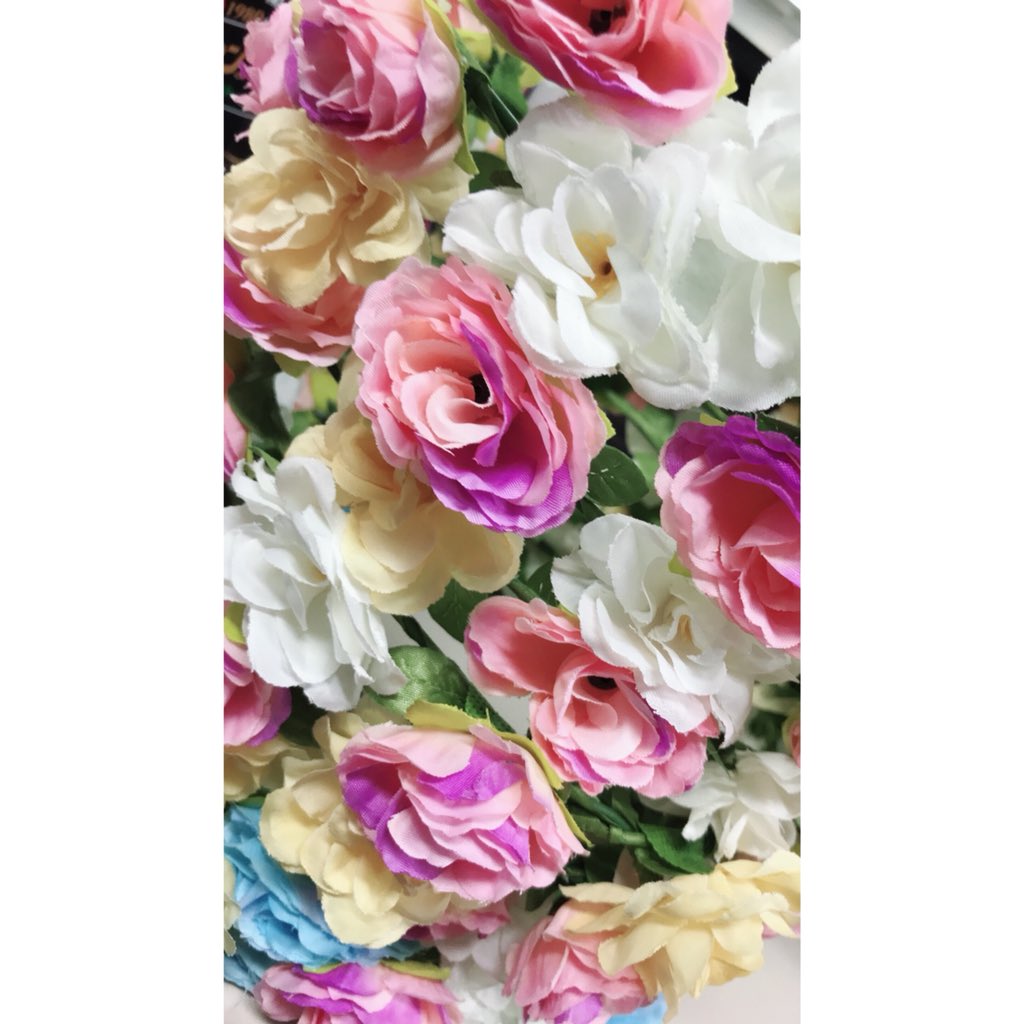 camera__weather's tweet photo. 花冠、花冠中🥀🥀🥀
・
��
・
#花冠 #花冠中 #🥀🥀🥀 https://t.co/eeynRgVnE0