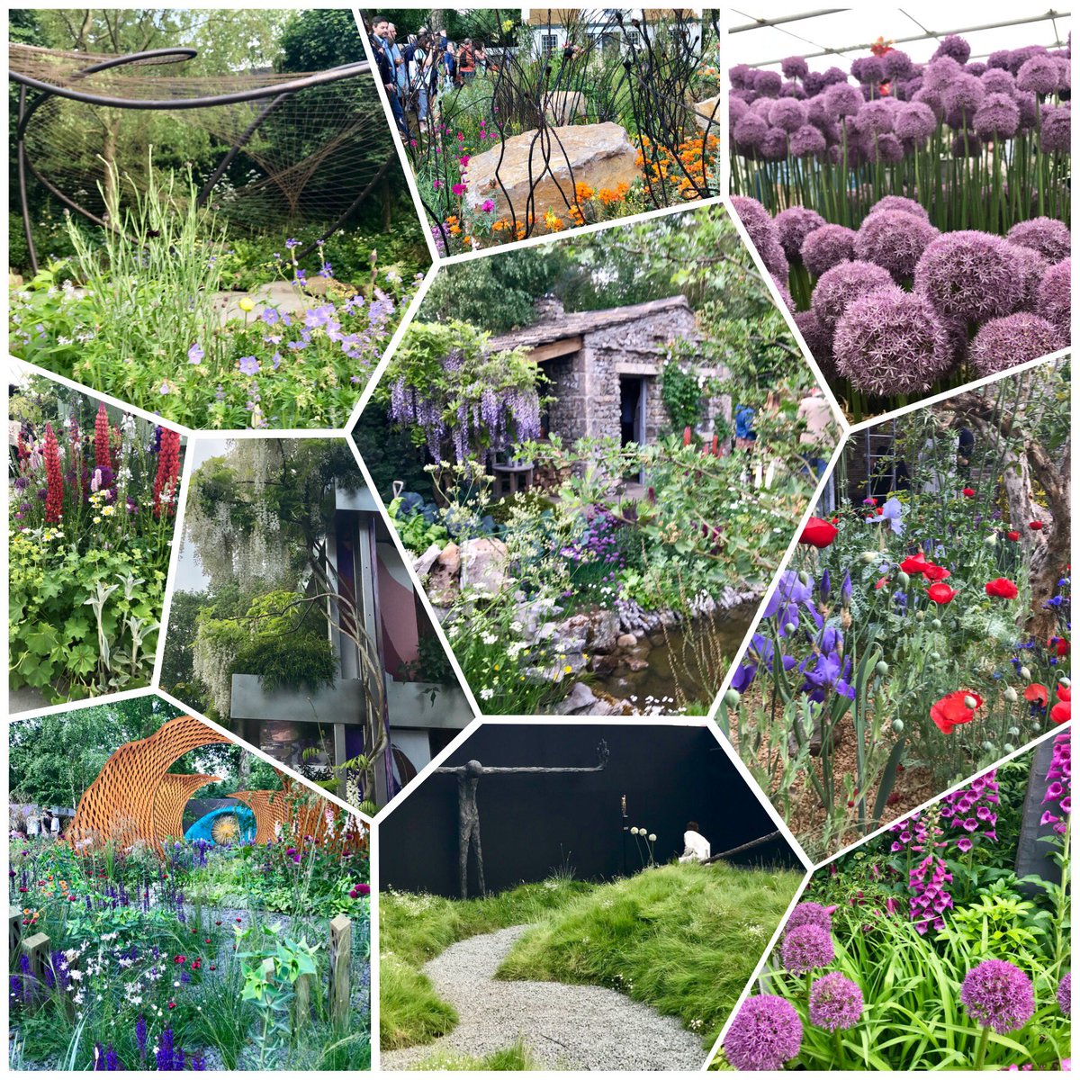 OwensRayna's tweet image. @The_RHS fabulous time at #Chelsea2018 last night #flowers #lovelondon