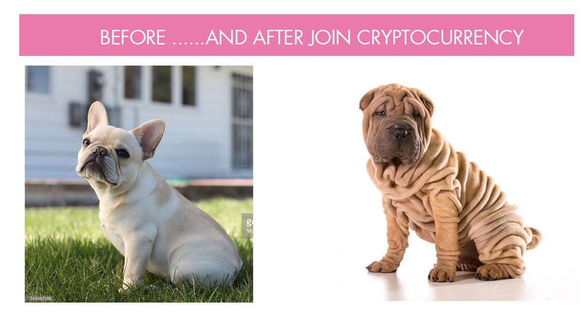 NikMiu's tweet photo. have someone similar here?? #cryptocurrency #trading  #Crypto https://t.co/I9DPkmPmzE