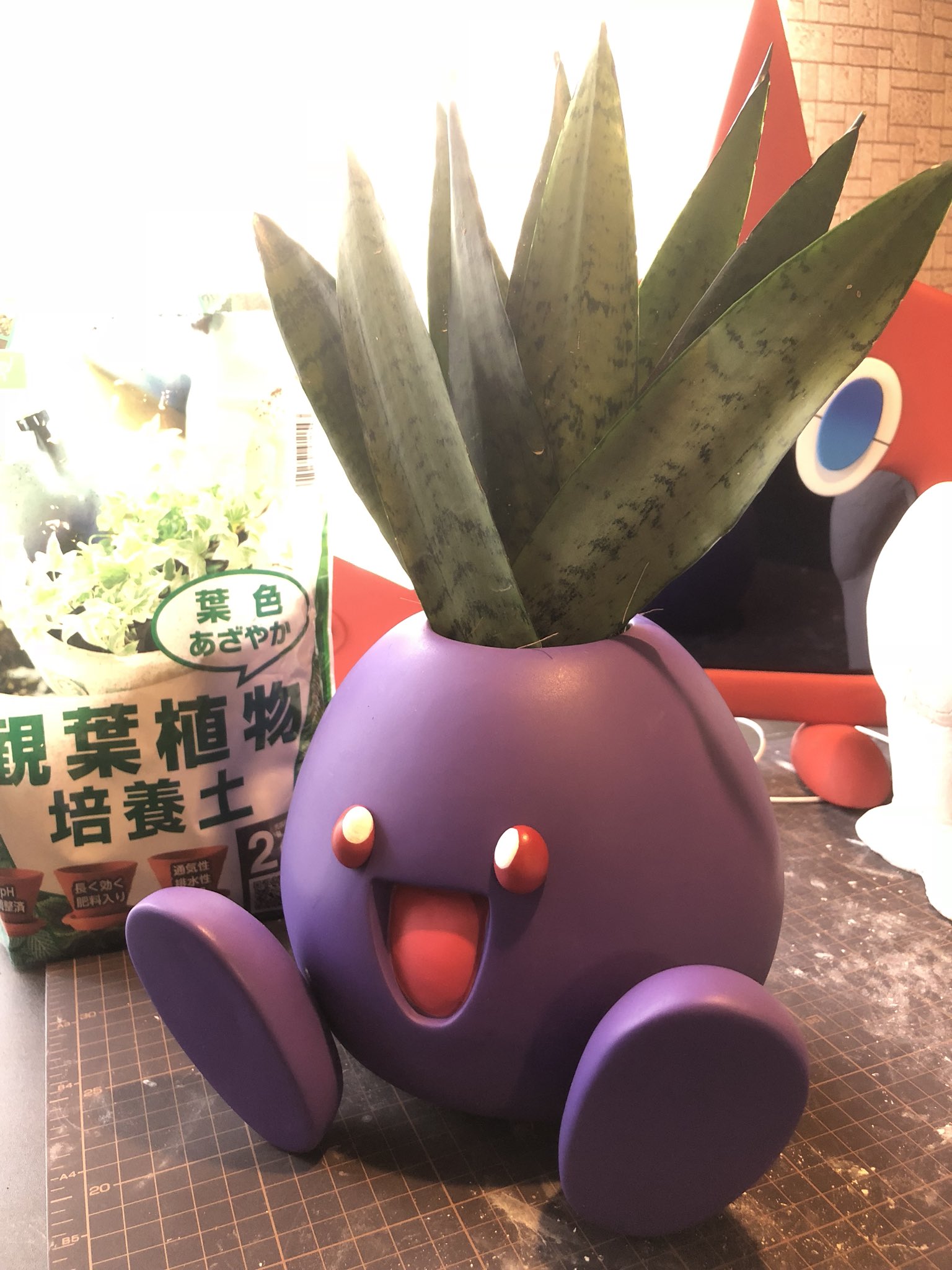 ねんどよしりん ポケモンつくる人 ポケモン制作1周年記念プレゼント企画をします なんと今回は 実寸大ポケモン ナゾノクサプランターをプレゼントします 参加方法は フォロー リツイート リプライをしていただいた方が対象です ねんどよしりん ポケモンつくる人 ポケモン制作1周年記念プレゼント企画をします なんと今回は 実寸大ポケモン ナゾノクサプランターをプレゼントします 参加方法は フォロー リツイート リプライをしていただいた方が対象です