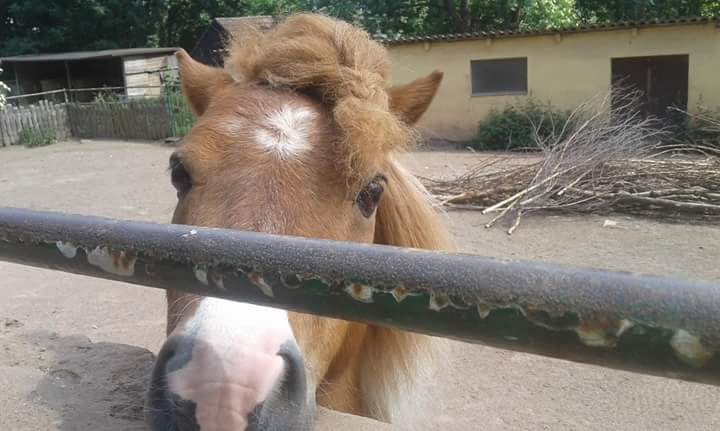 Wer hat denn unserem Max heute eine neue Frisur verpasst? :D