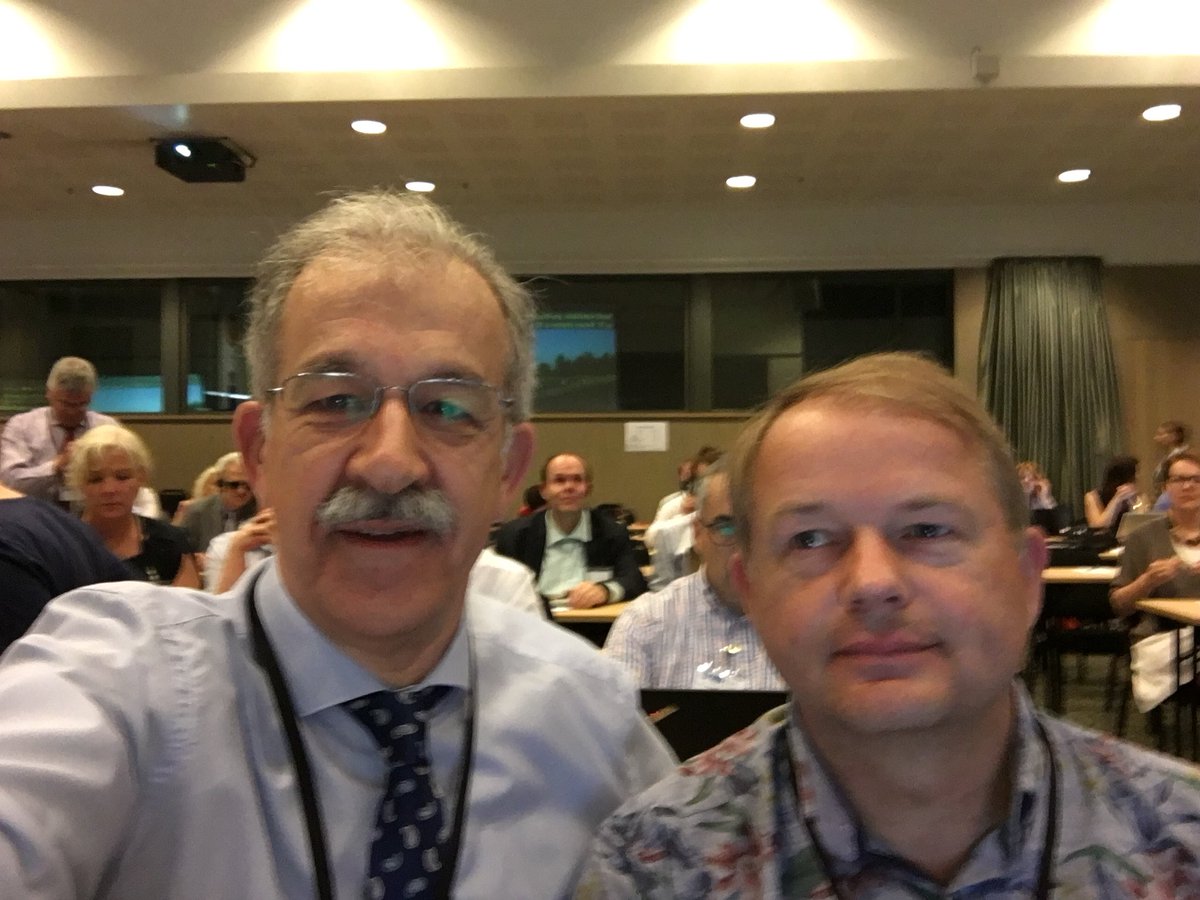 Participating in the #EDFAGA18 by the first time in a General Assembly with all the EU Member States having ratified the #CRPD with <a href="/efhoh/">EFHOH</a>