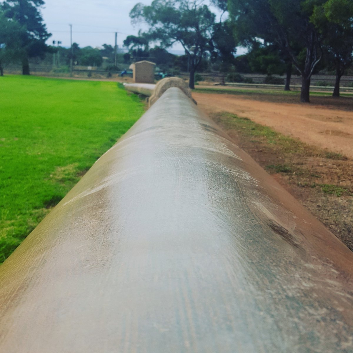 LazyCodegaming's tweet image. Grass is always greener on the other side