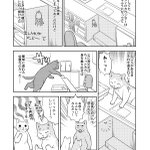 ゲーセンでゲームの鍵を盗まれてしまい潜望鏡を自作して犯人を確保した話 鍵無くしたら1000万の重みと言われる ガチで犯人は現場に戻ってくる Togetter ゲーセンでゲームの鍵を盗まれてしまい潜望鏡を自作して犯人を確保した話 鍵無くしたら1000万の重みと言われる ガチで犯人は現場に戻ってくる Togetter