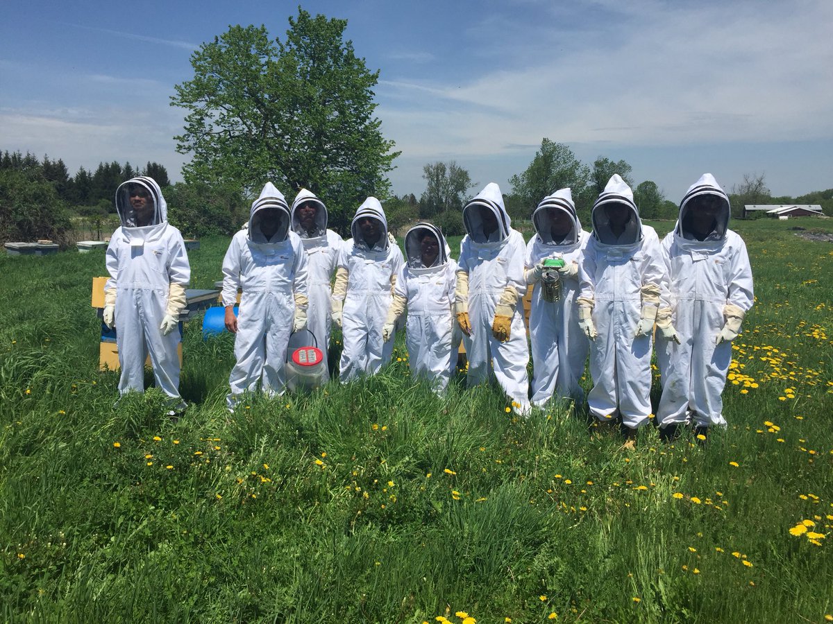 Humberview students also got to meet the bees at the farm. What an amazing opportunity to learn new things!@HumberviewSS <a href="/AHCommunityFarm/">A. H. Community Farm</a>