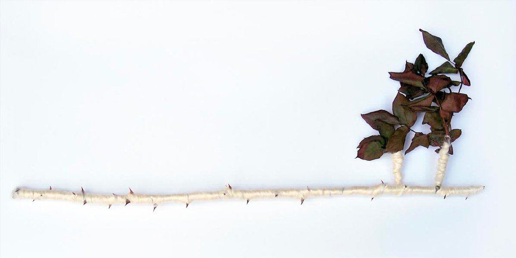 .<a href="/13Espacioarte/">13 ESPACIOarte</a> presenta la exposición 'Tránsitos', muestra individual de la artista Sandra Sarasola.

La exposición podrá verse hasta el 30 de junio.

¡Más info aquí!

elrespirador.es/transitos-sand…