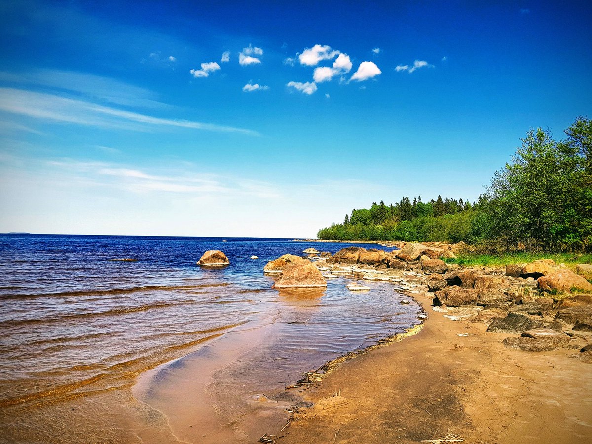 fleetips's tweet image. Wonderful #summer in #sweden! #beautiful #beach