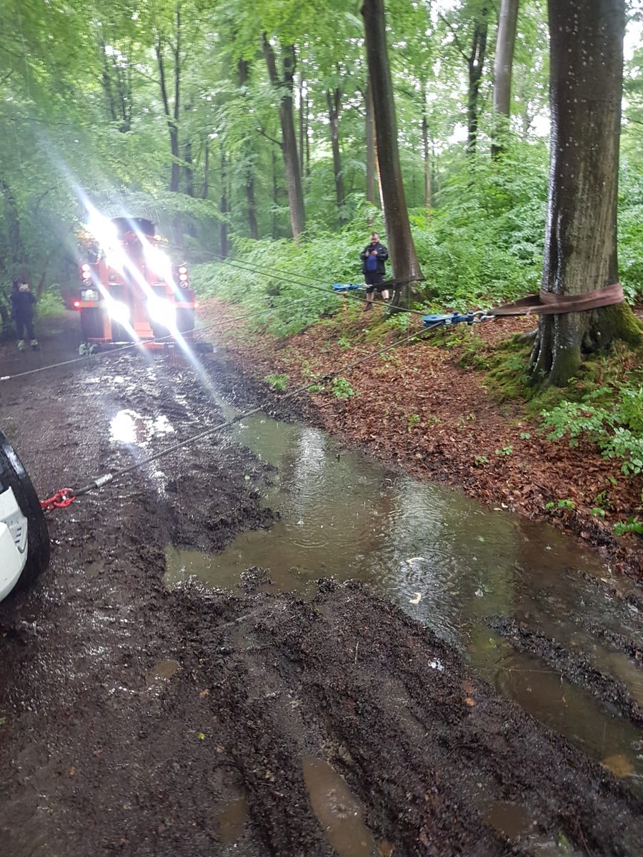 sergecronos's tweet image. 