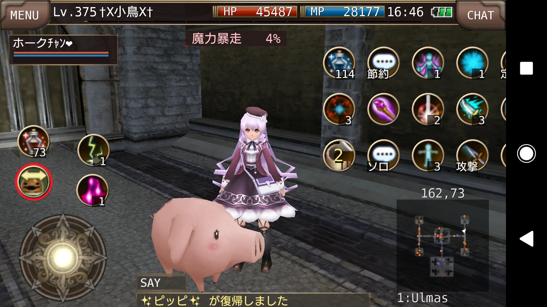 Al Ce ʚ ɞ イルーナ Ar Twitter エンチャ 小鳥も レベルカンスト ๑ ㅂ ๑ 解放まだだけど とりあえず一区切り 島で探すの大変なくらい小さかった ペット の ホークちゃん ぶぅ でっかくなってきたなぁ 艸 W イルーナ戦記 七つの大罪 ホーク