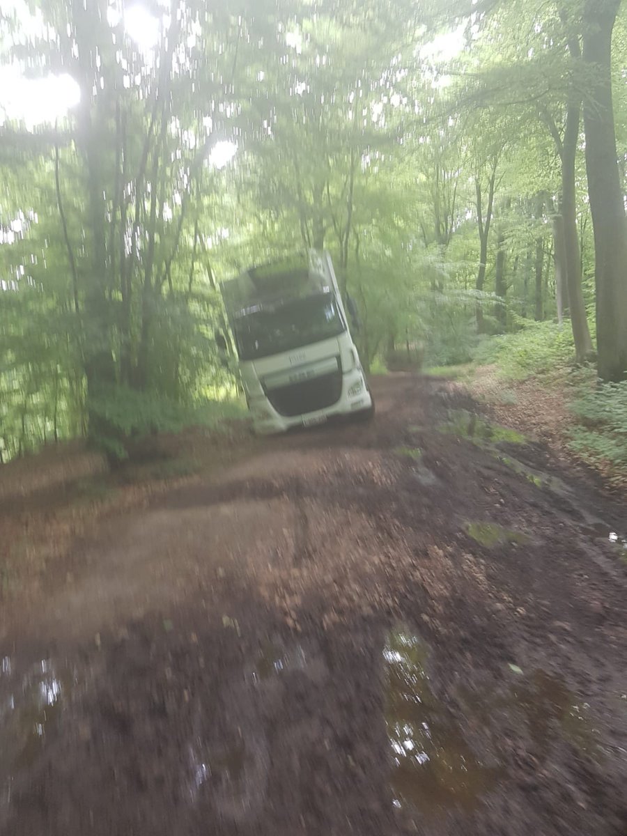 sergecronos's tweet image. 