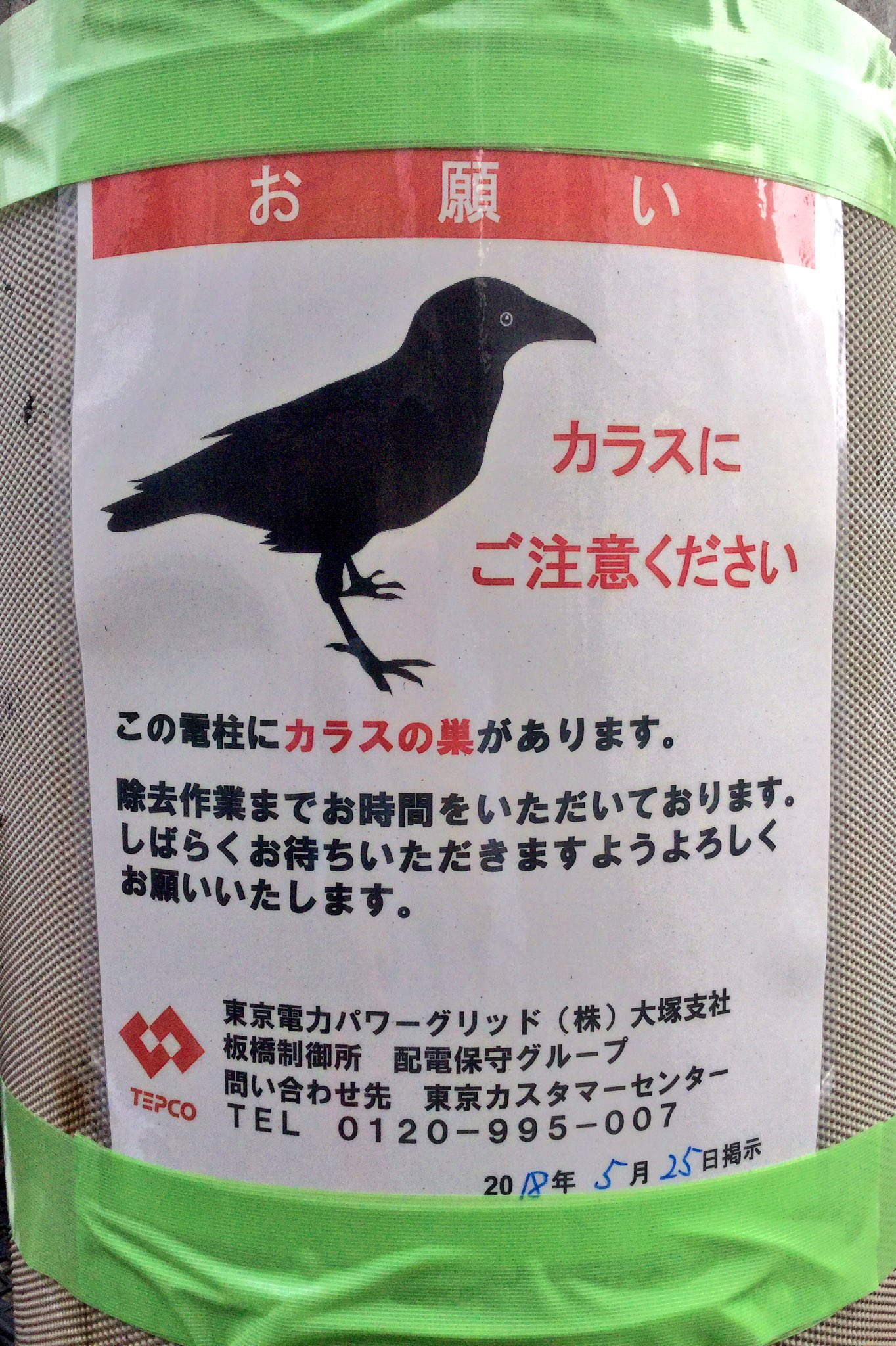 チョコレート電車 今年も線路脇の電柱にカラスが巣を作ってたから パワーグリッドに連絡しようとしたら もう誰かが連絡してたようだ 電柱の上の方にワイヤーハンガーが数十本くらいある T Co Jky0nhfksr Twitter